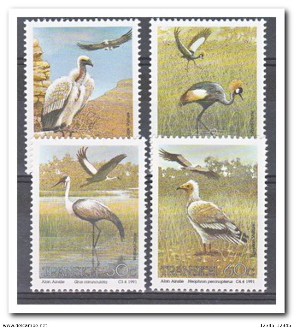 Transkei 1991, Postfris MNH, Birds - Transkei
