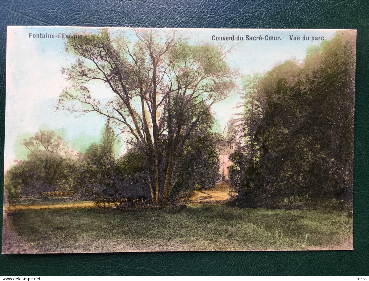 Fontaine-l'Evêque/-Couvent Du Sacré-Coeur-vue Du Parc - Fontaine-l'Evêque