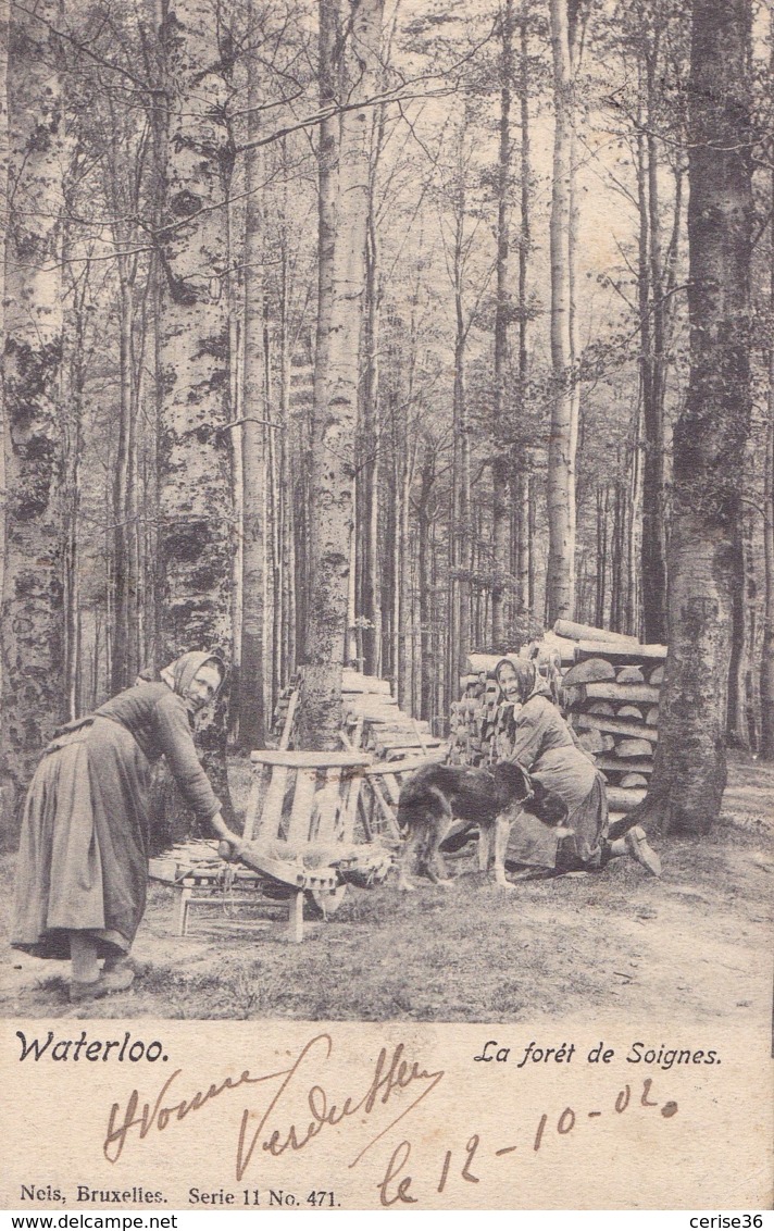 Waterloo La Forêt De Soignes Nels Série 11 N° 471 Circulée En 1902 - Waterloo