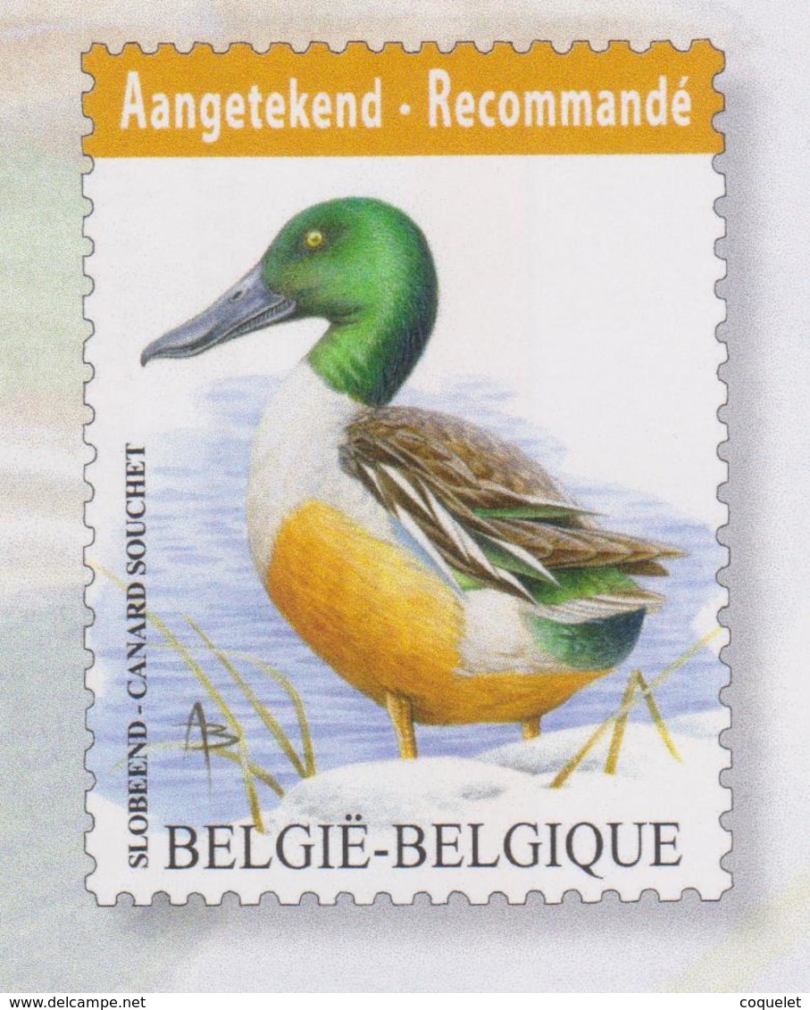 BE 2015 - N° 4537 XX BUZIN  Canard Souchet - Unused Stamps