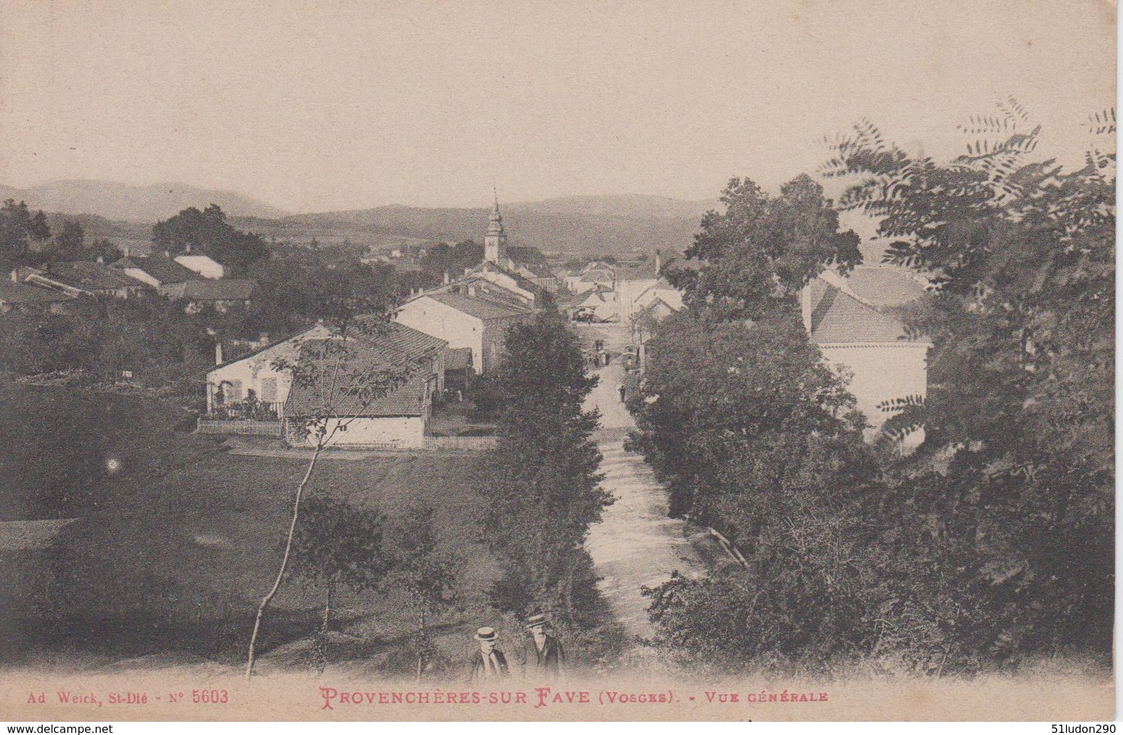 CPA Provenchères-sur-Fave - Vue Générale - Provencheres Sur Fave