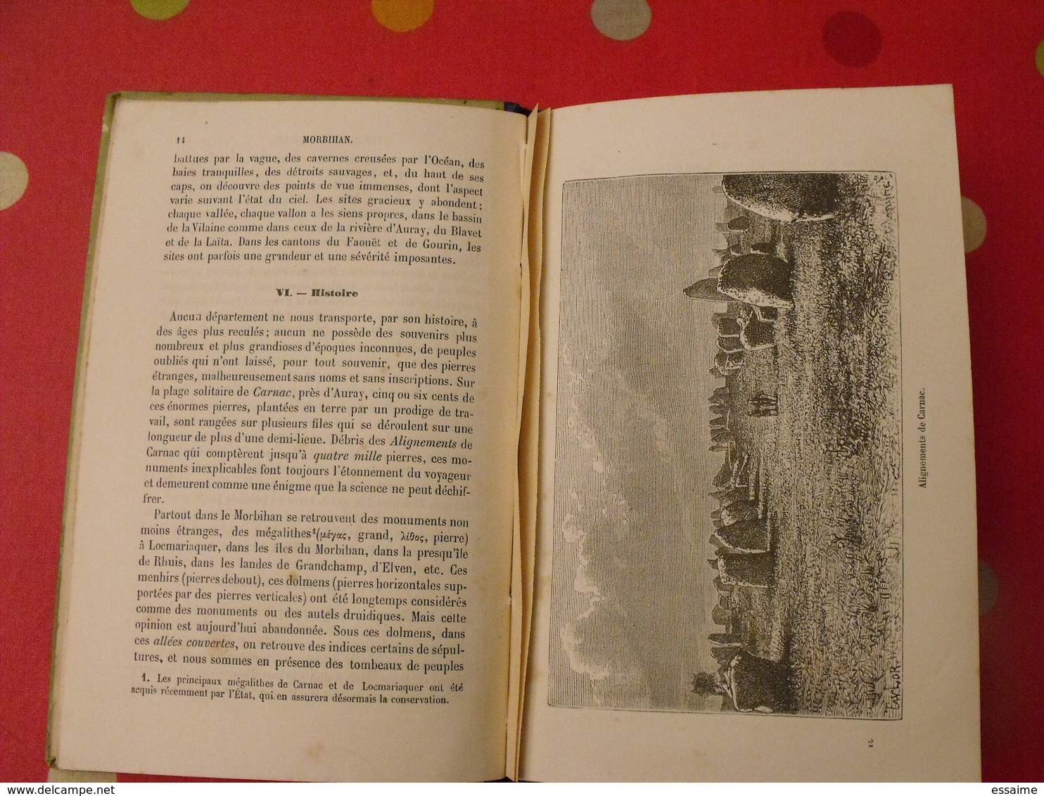 Géographie Du Département Du Morbihan. Joanne. Hachette. 1888. 14 Gravures + Carte Dépliable - 1801-1900