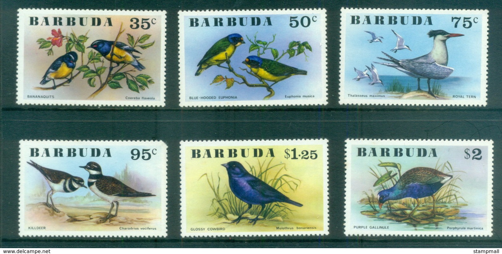 Barbuda 1976 Birds (95c Short TRC)  MLH - Antigua And Barbuda (1981-...)