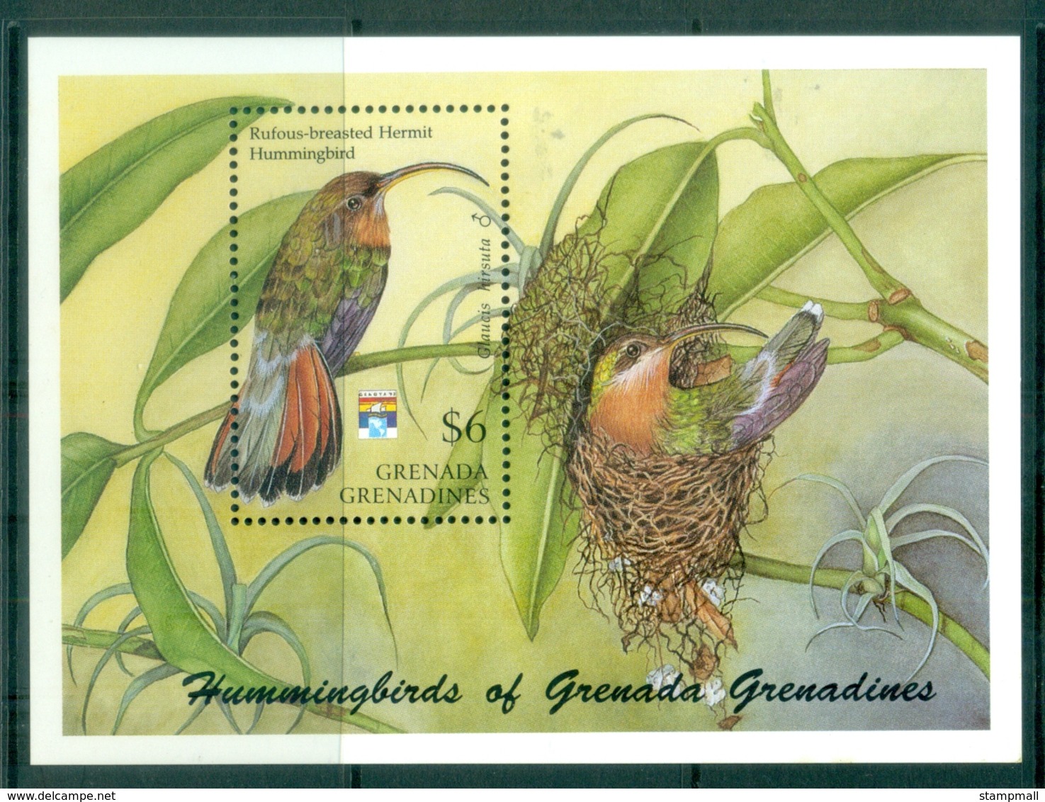 Grenada Grenadines 1992 Hummingbirds, Hermit Bird MS MUH - Grenada (1974-...)