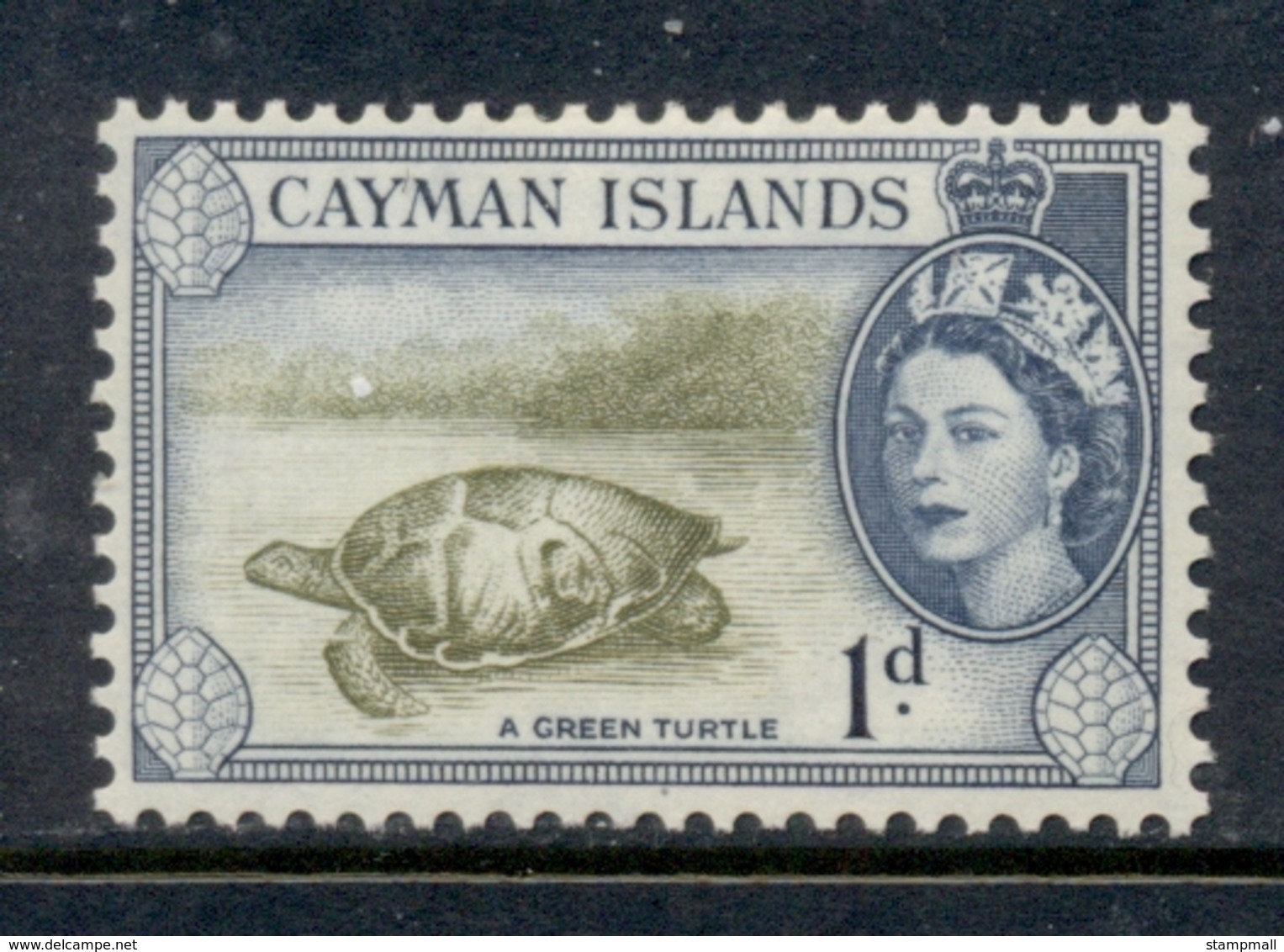 Cayman Is 1953-59 QEII Pictorial 1d Green Turtle MLH - Iles Caïmans