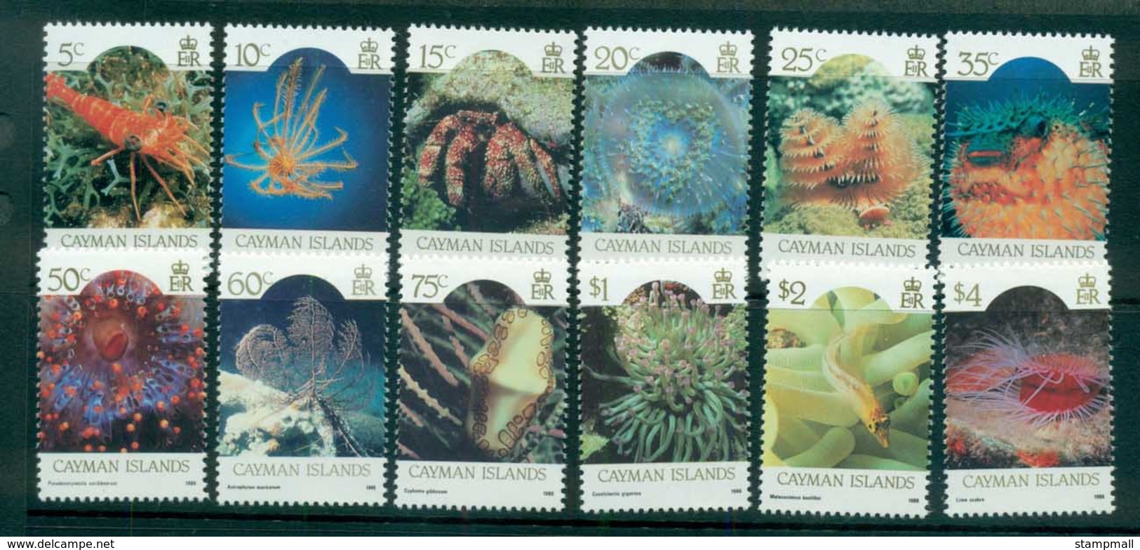 Cayman Is 1986 Marine Life Inscribed 1986 MUH Lot72619 - Cayman Islands