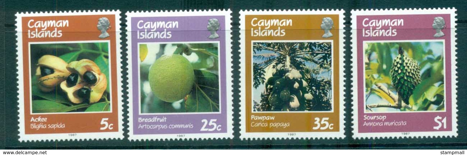 Cayman Is 1987 Fruit MUH Lot72621 - Cayman Islands