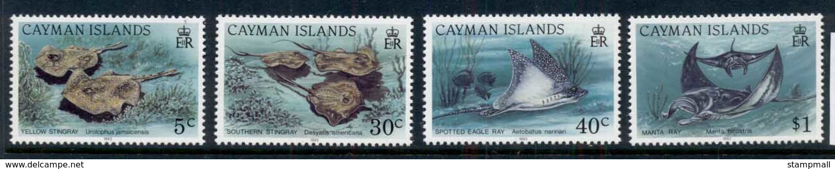 Cayman Is 1993 Marine Life, Rays MUH - Cayman Islands