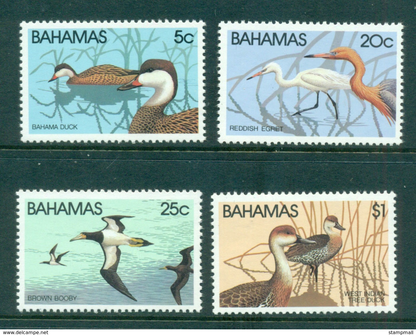 Bahamas 1981 Water Fowl Birds Str 5 MUH Lot55079 - Bahamas (1973-...)