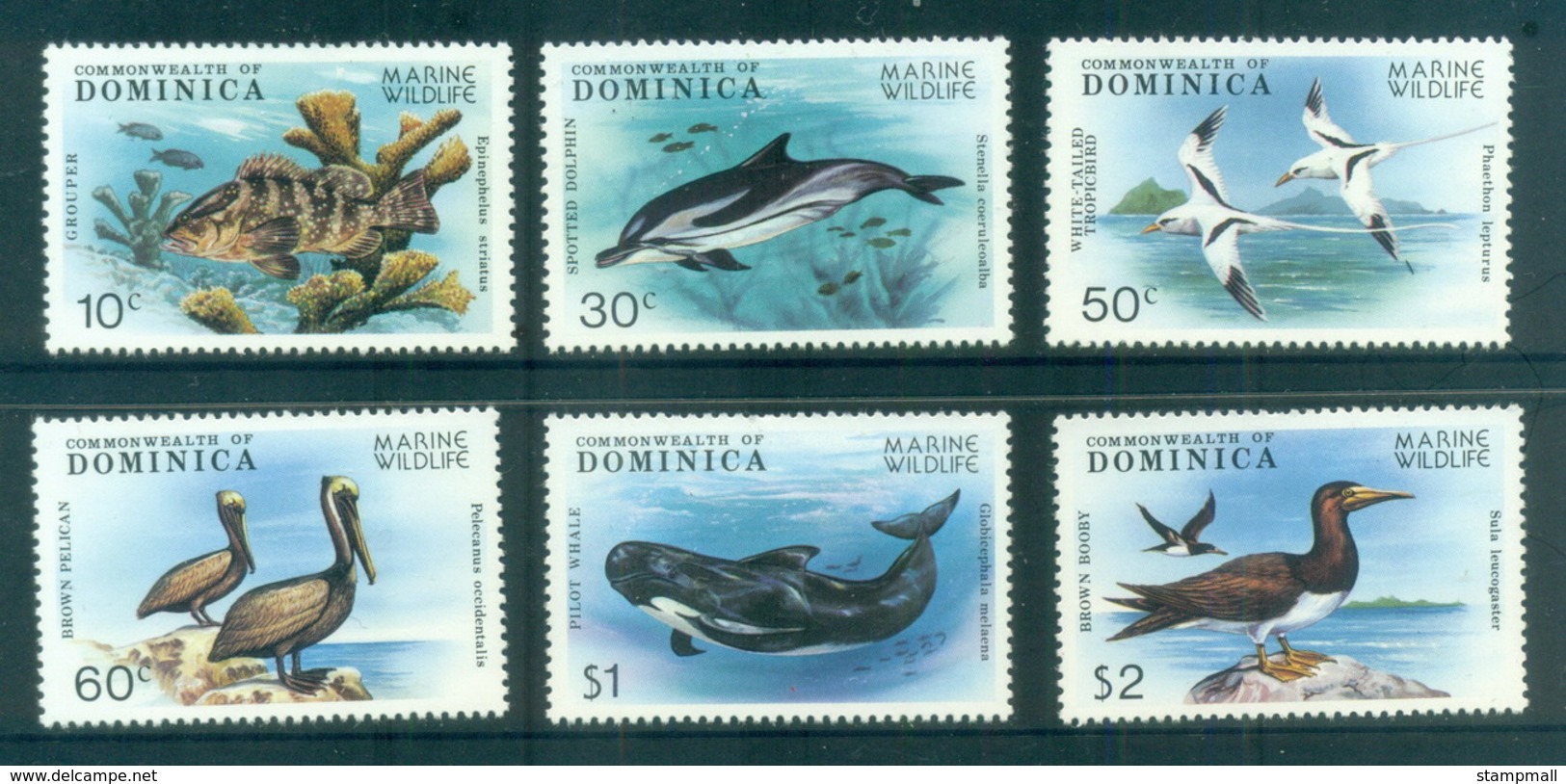 Dominica 1979 Marine Wildlife, Bird, Whale MUH - Dominica (1978-...)