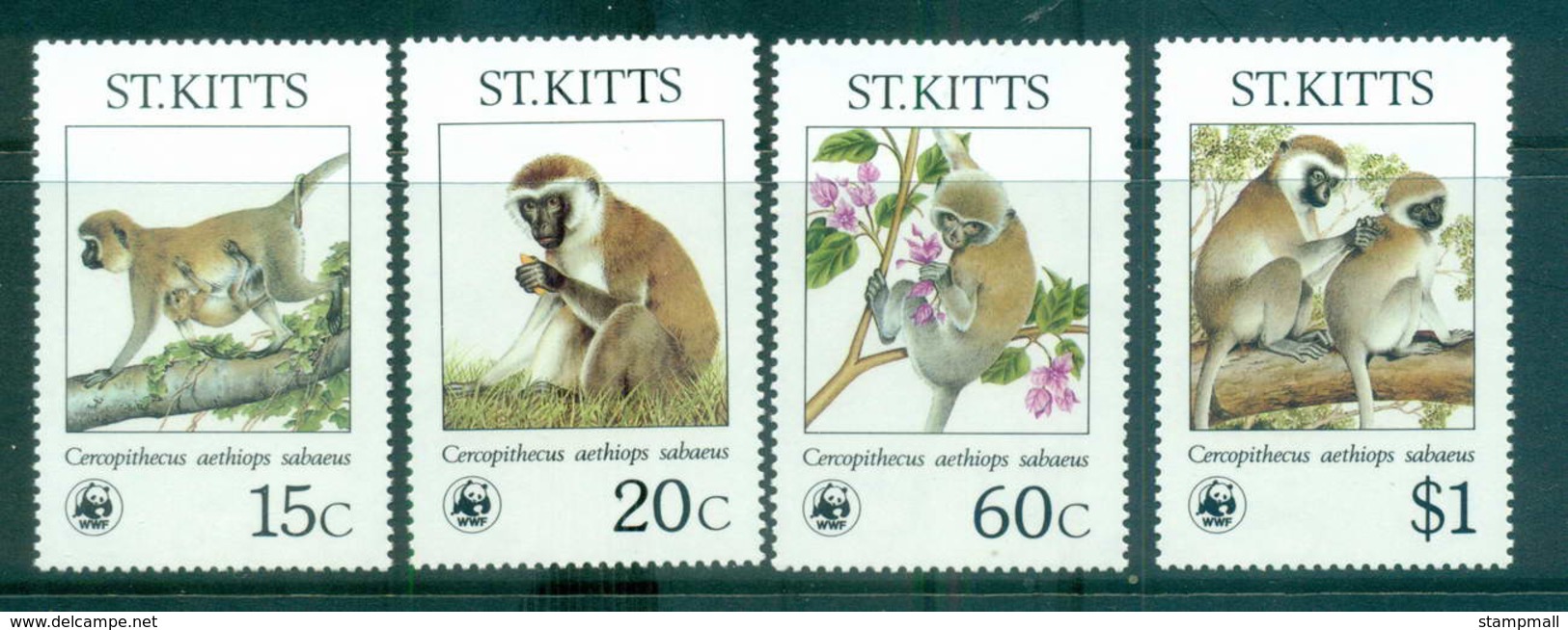 St Kitts 1986 WWF Green Monkey MUH Lot64106 - St.Kitts And Nevis ( 1983-...)