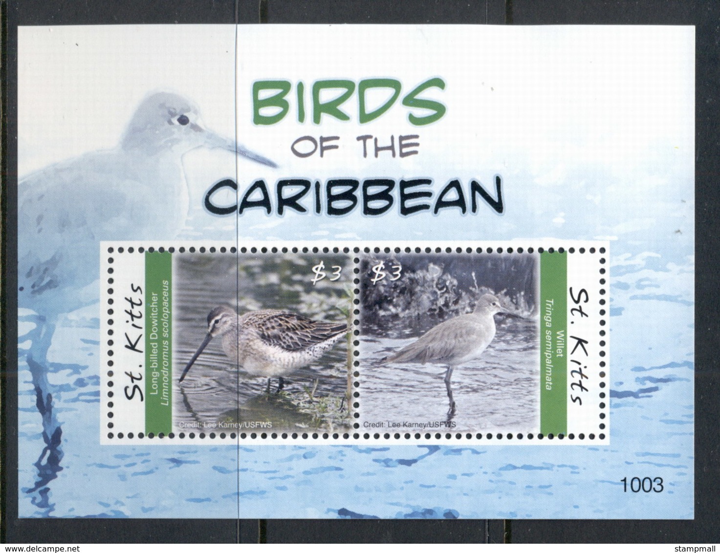 St Kitts 2010 Birds Of The Caribbean MS MUH - St.Kitts And Nevis ( 1983-...)