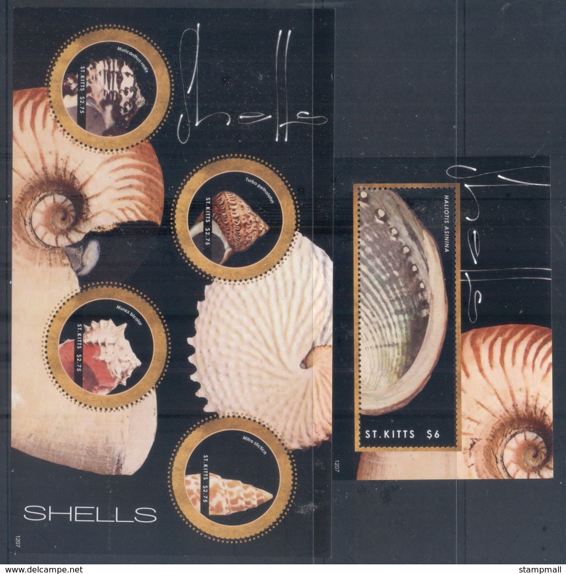 St Kitts 2012 Seashells 2xMS - St.Kitts And Nevis ( 1983-...)