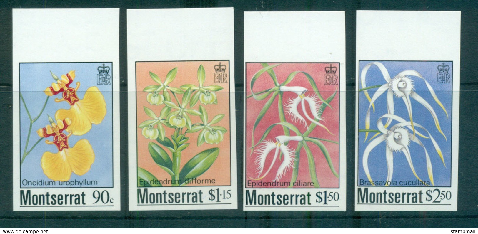 Montserrat 1985 Orchids IMPERF MUH Lot68576 - Montserrat