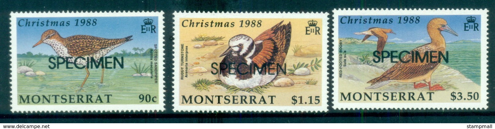 Montserrat 1988 Xmas, Birds SPECIMEN MUH - Montserrat