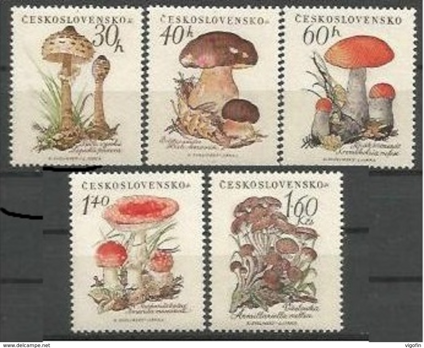 CSR 1958-1101-5 MUSROOMS, CZECHOSLOWAKIA, 1 X 5v, MNH - Funghi