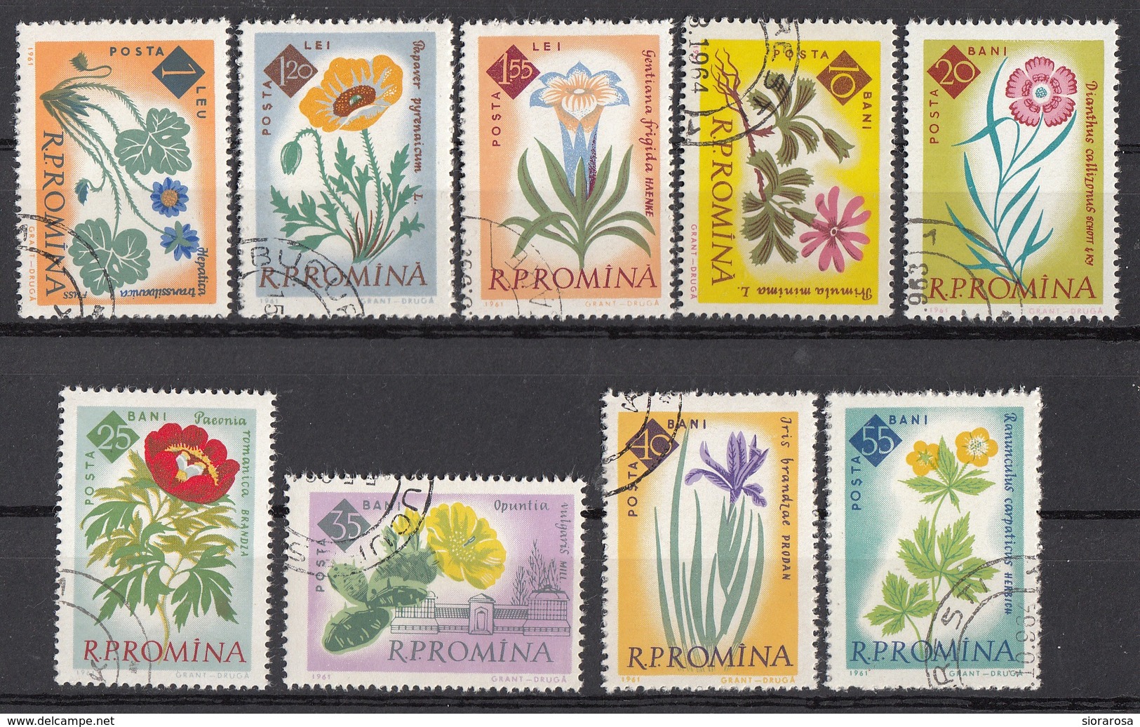 Romania 1961 Sc. 1459/1467 Fiori Flowers Full St CTO Peonie Papaveri Genziana - Unused Stamps