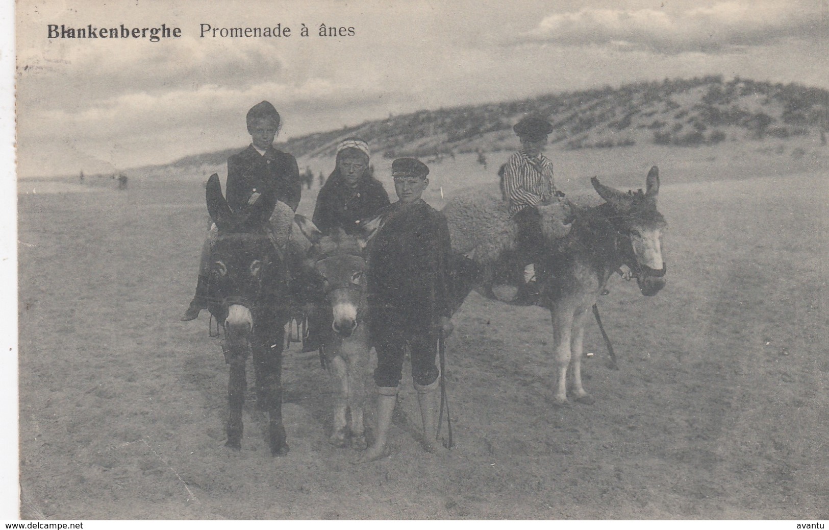 BLANKENBERGE / EZELTJES RIJDEN 1911 - Blankenberge