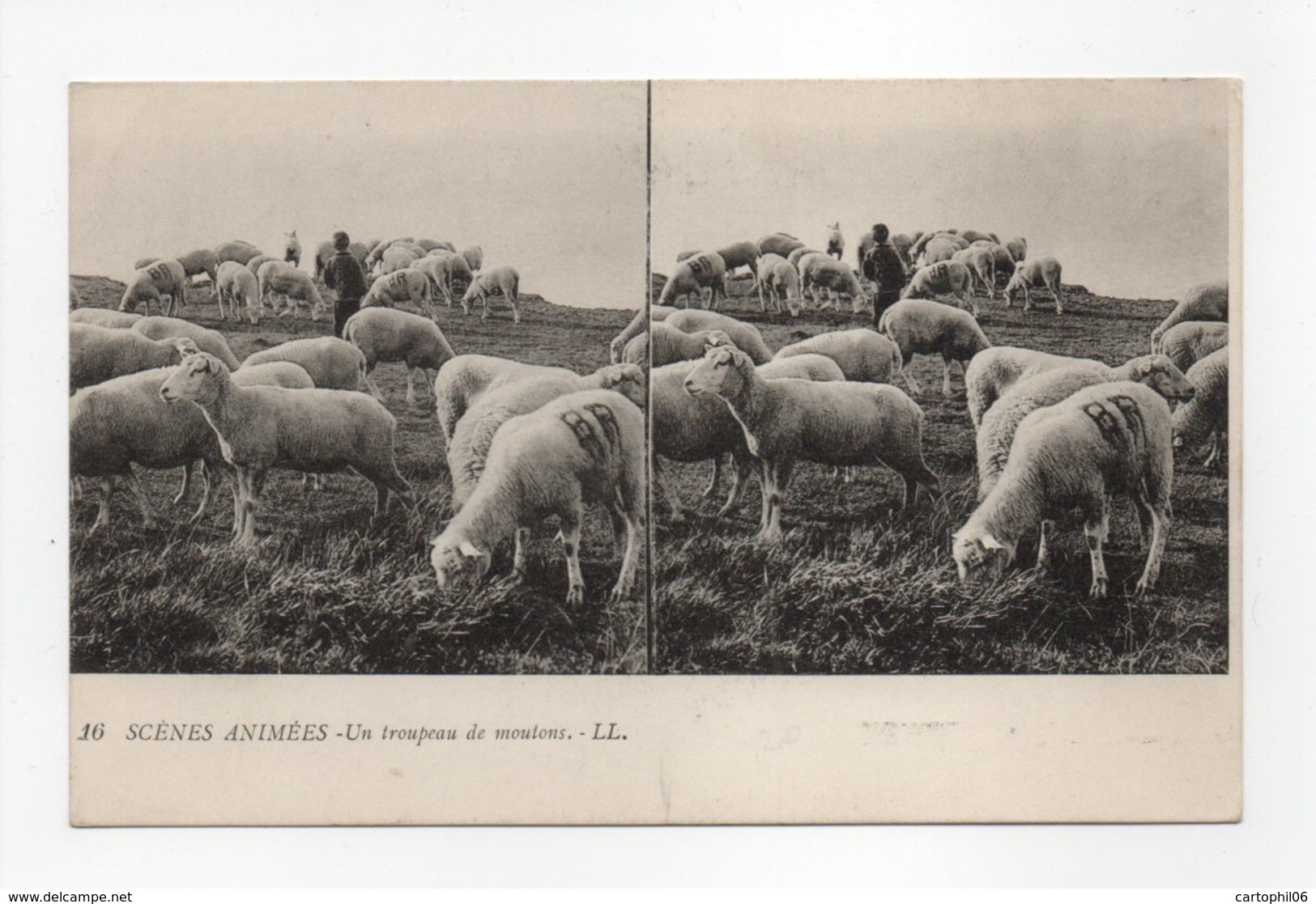 - CPA STEREOSCOPIQUES - SCENES ANIMEES - Un Troupeau De Moutons - Edions Lévy N° 16 - - Stereoskopie