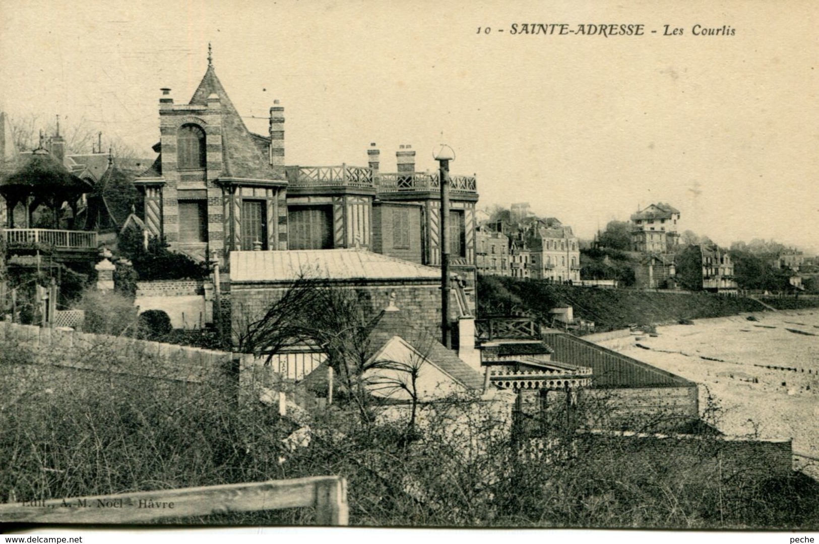 N°66014 -cpa Sainte-Adresse -les Courlis- - Sainte Adresse