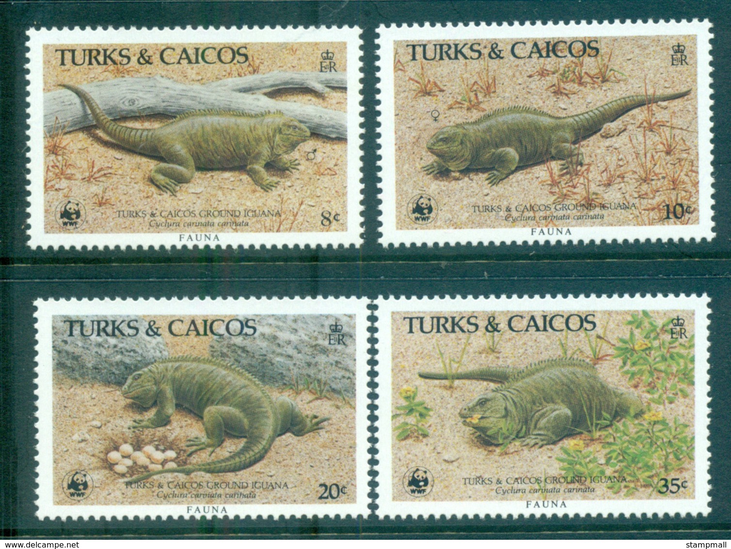 Turks & Caicos Is 1986 WWF Rock Iguana MUH Lot64113 - Turks And Caicos