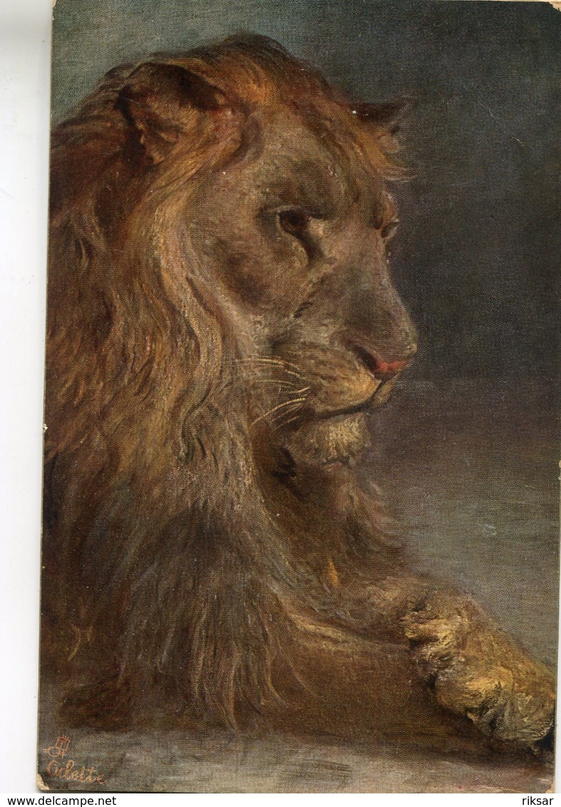 LION - Lions