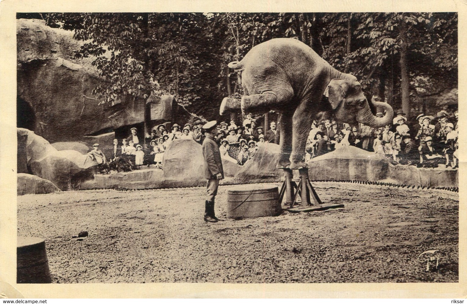 ELEPHANT(ZOO DE VINCENNES) - Éléphants