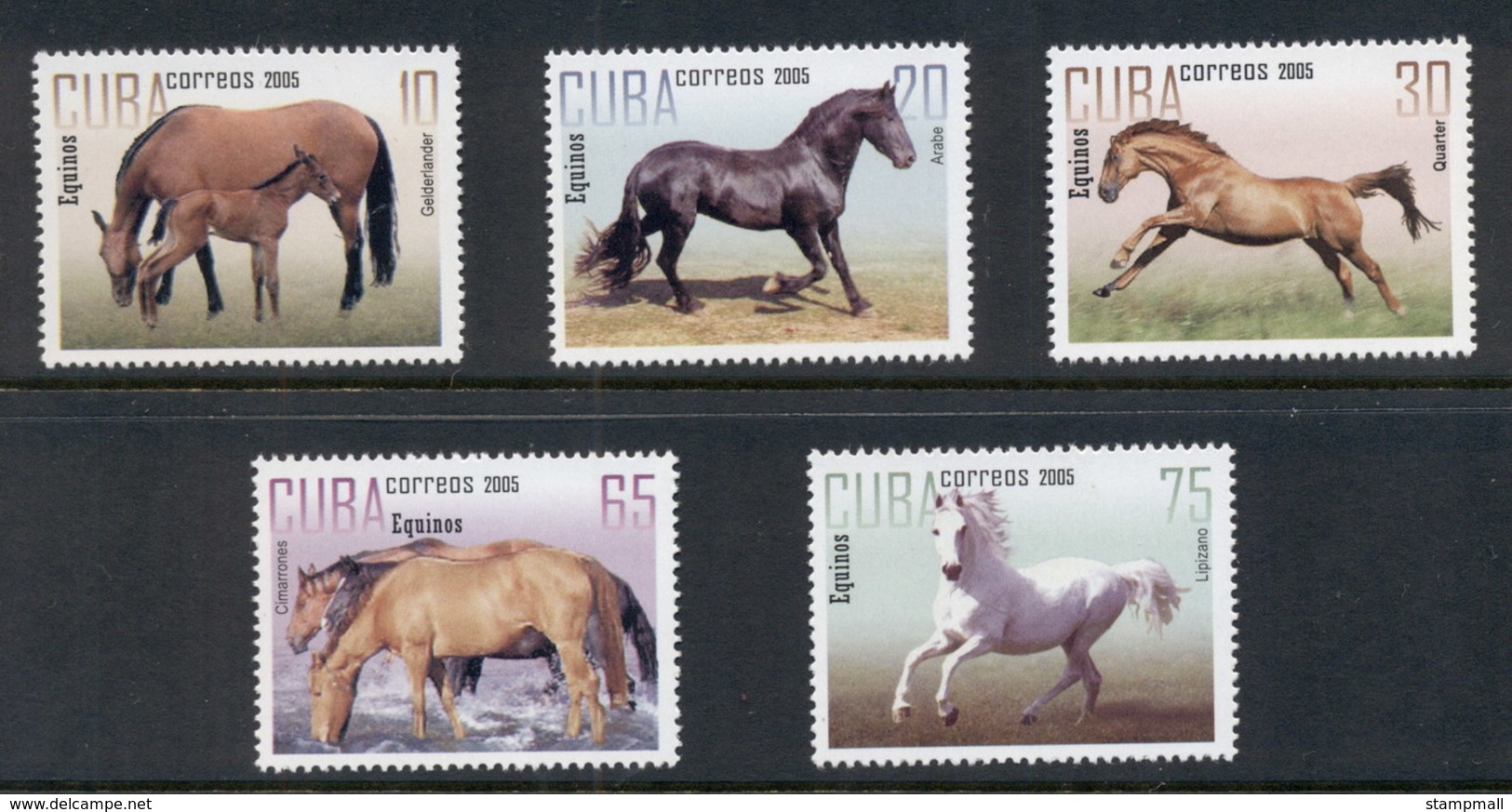 Caribbean Is 2005 Horses MUH - Used Stamps