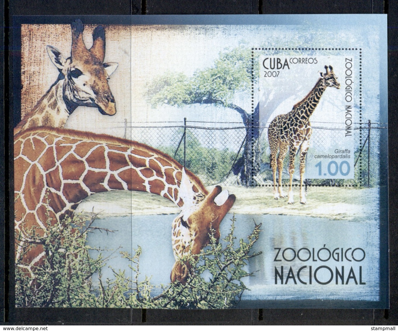 Caribbean Is 2007 Zoo, Giraffe MS MUH - Gebraucht