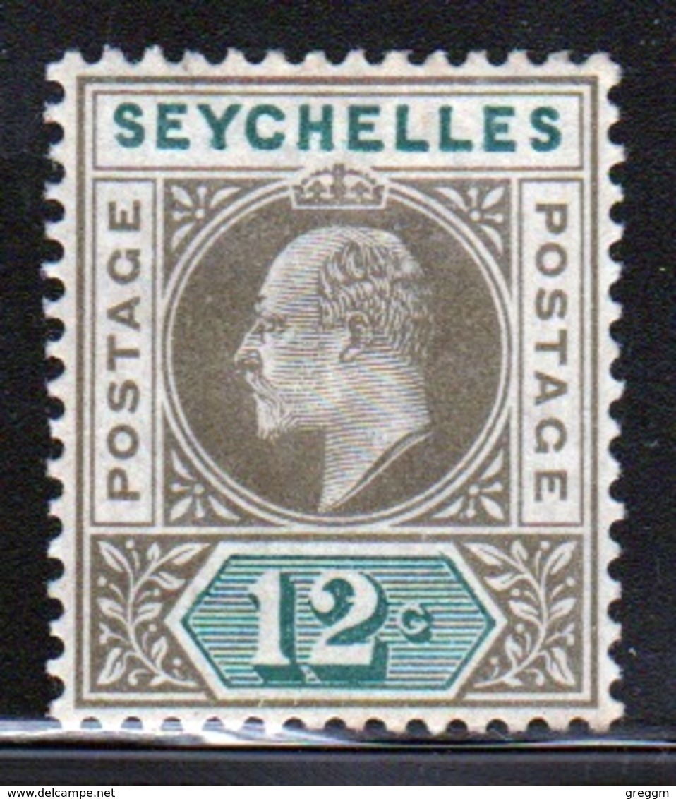 Seychelles Edward VII 1903 Single 12 Cent Olive Sepia And Dull Green Stamp. - Seychelles (...-1976)