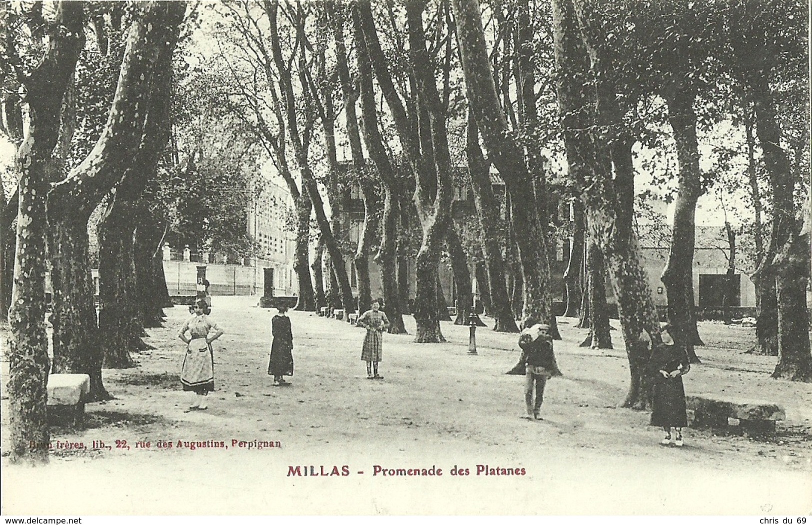 Millas Promenade Des Platanes - Millas