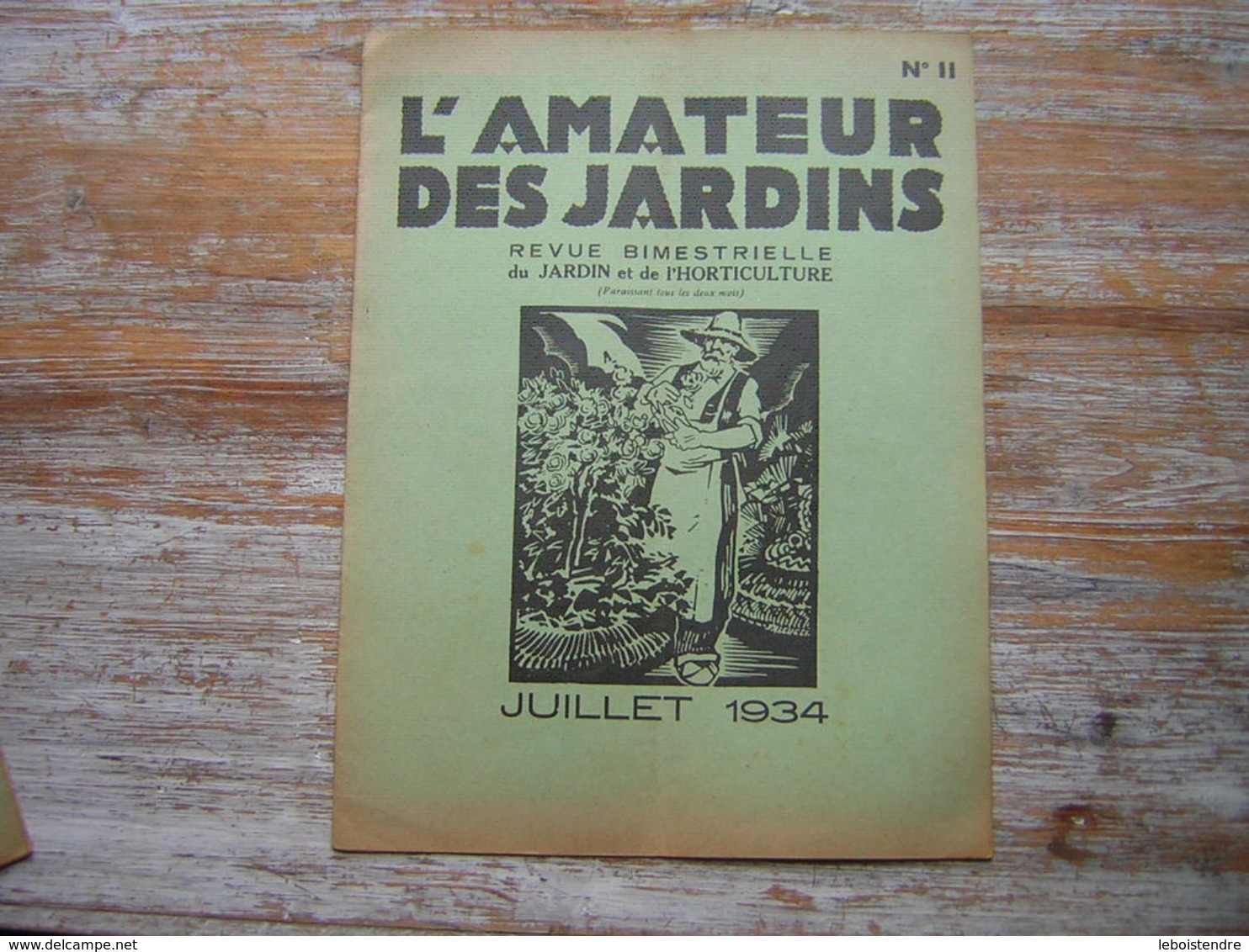 REVUE BIMESTRIELLE DU JARDIN ET DE L'HORTICULTURE  L'AMATEUR DES JARDINS JUILLET 1934 N° 11 - Jardinería