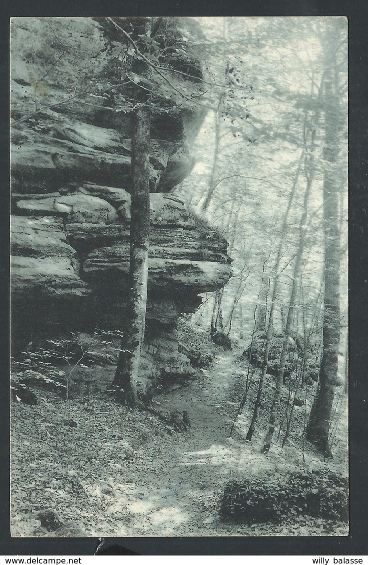 +++ CPA - Luxemburg - Luxembourg - Environs D' ECHTERNACH - Eszbacher Thal - Zigeunerlay    // - Echternach