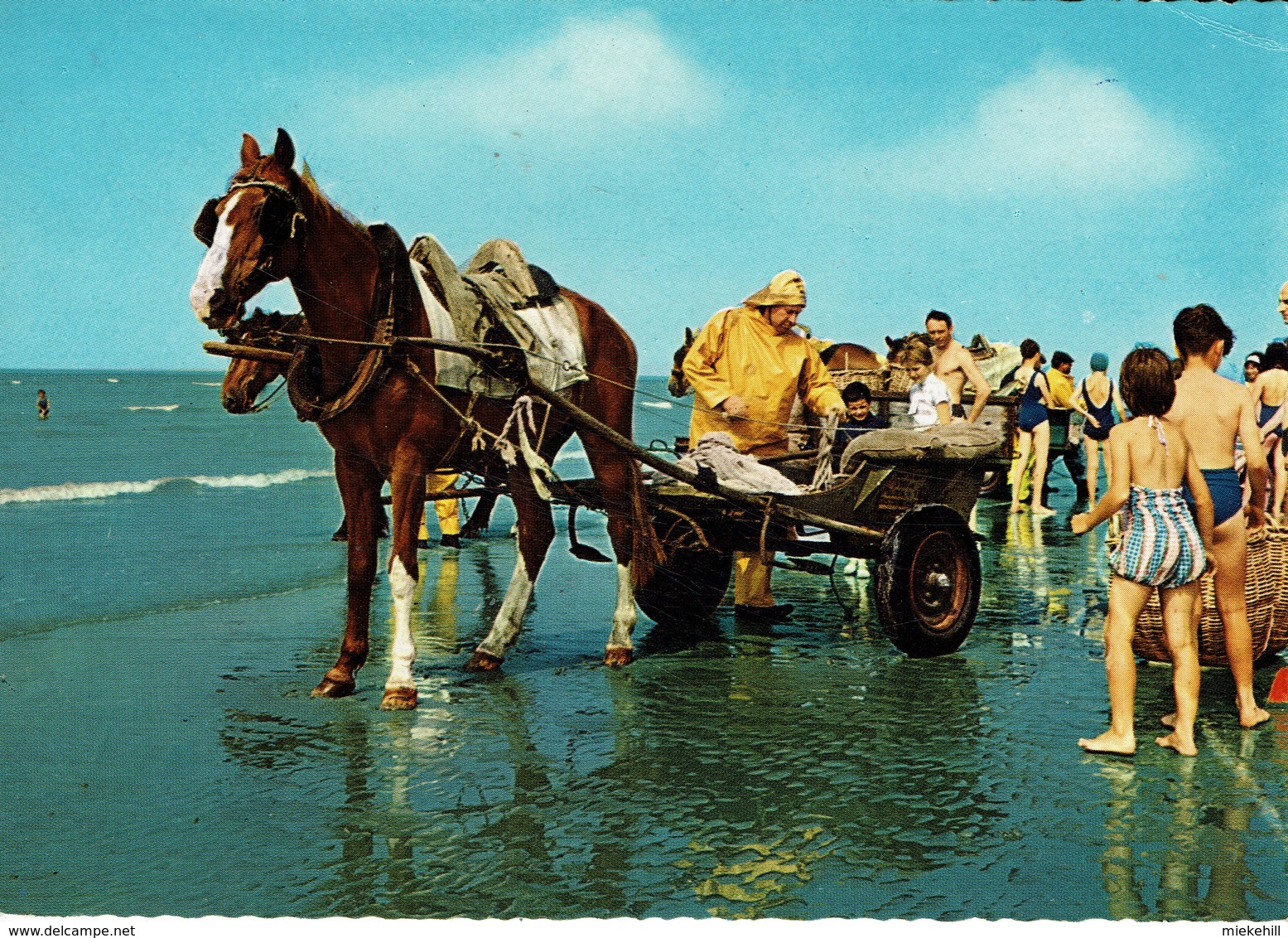 PECHEUR DE CREVETTES A CHEVAL-GARNAALVISSER TE PAARD--crevette-garnaal-pêche - Oostduinkerke