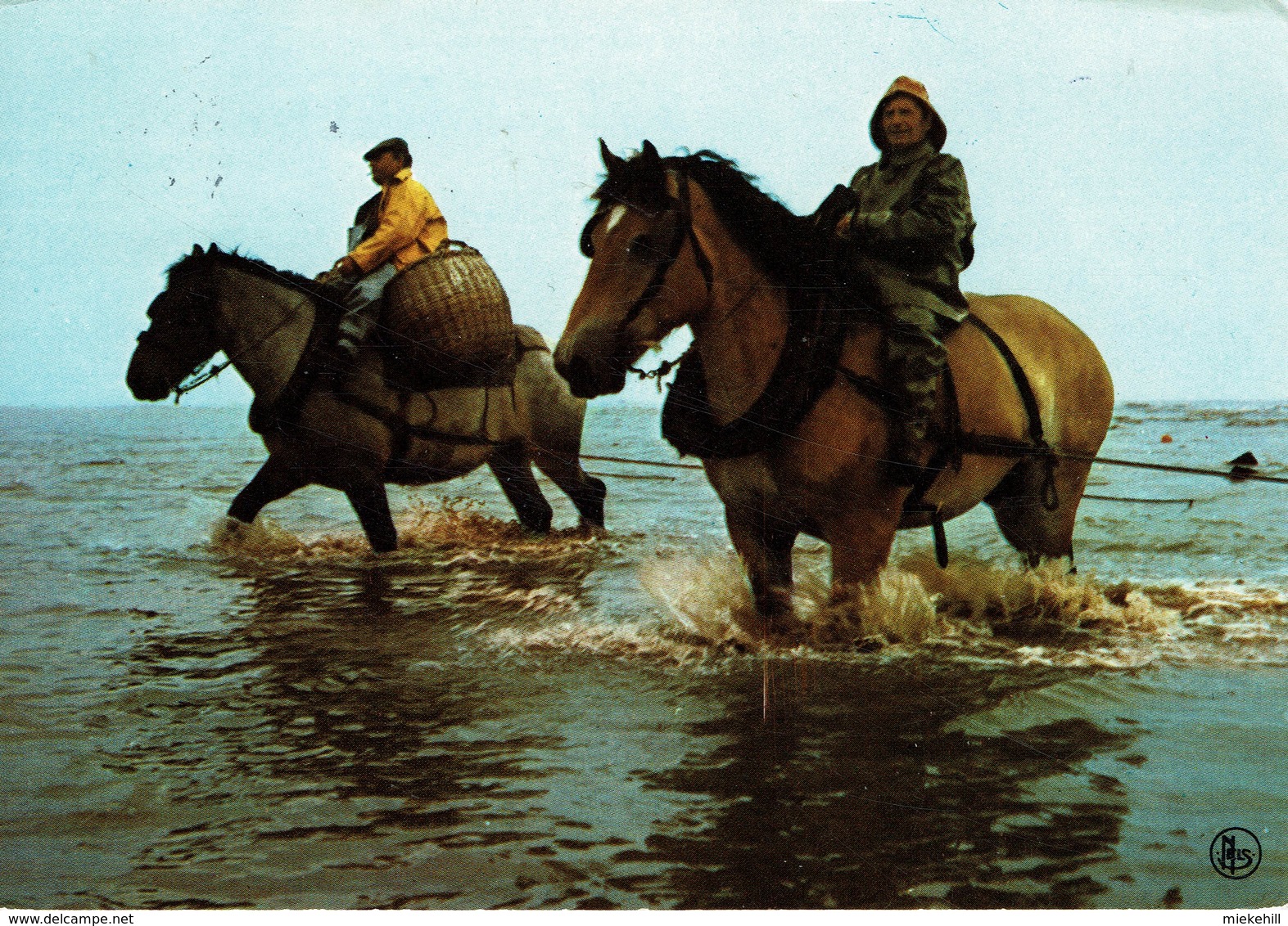 PECHEURS DE CREVETTES A CHEVAL-GARNAALVISSER TE PAARD--crevette-garnaal-horse-pêche - Oostduinkerke