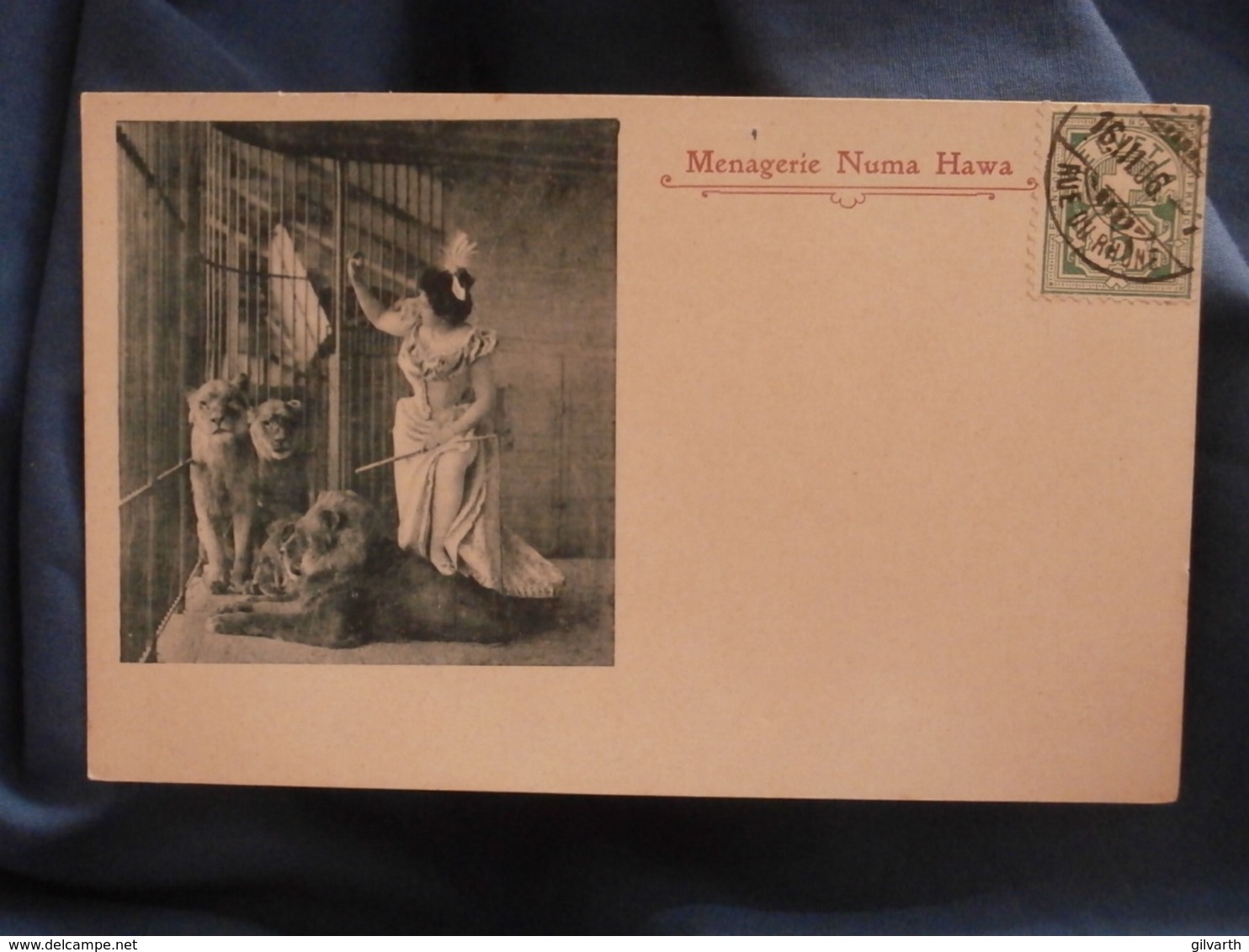 Menagerie Numa Hawa  Dompteuse De Lions  Précurseur  Circulée 1906 - R259 - Cirque