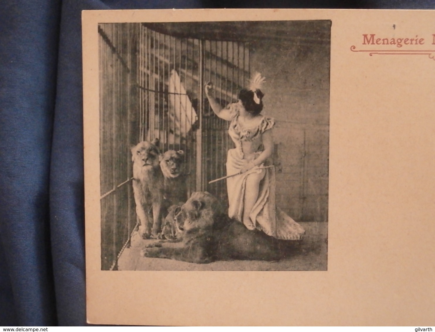 Menagerie Numa Hawa  Dompteuse De Lions  Précurseur  Circulée 1906 - R259 - Circus