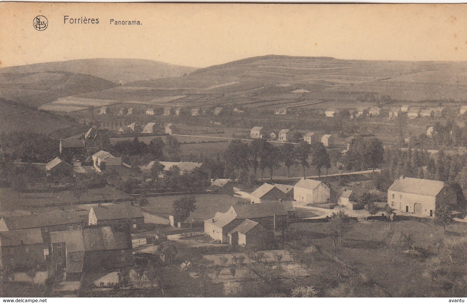 FORRIERES / NASSAOGNE / PANORAMA DU VILLAGE - Nassogne