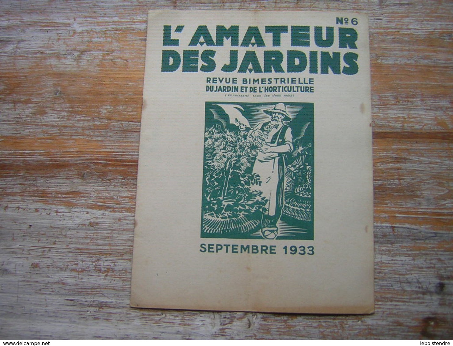 REVUE BIMESTRIELLE DU JARDIN ET DE L'HORTICULTURE  L'AMATEUR DES JARDINS SEPTEMBRE 1933 N° 6 - Jardinería