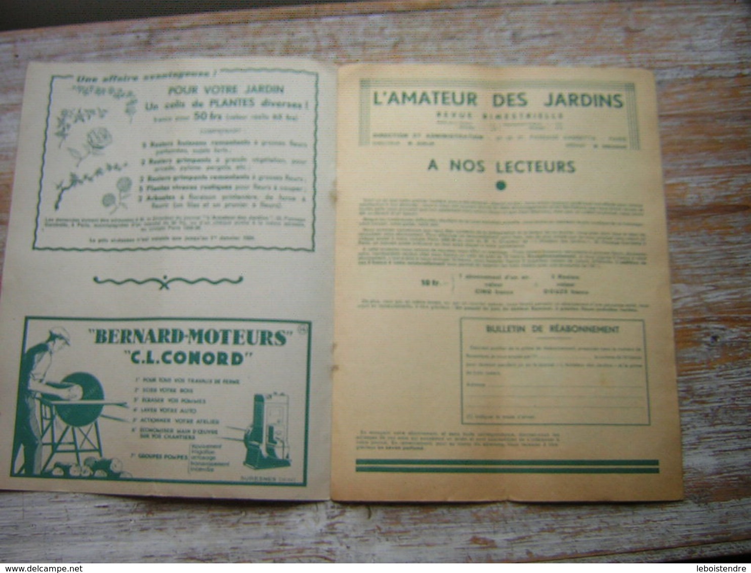 REVUE BIMESTRIELLE DU JARDIN ET DE L'HORTICULTURE  L'AMATEUR DES JARDINS NOVEMBRE 1933 N° 7 - Jardinage