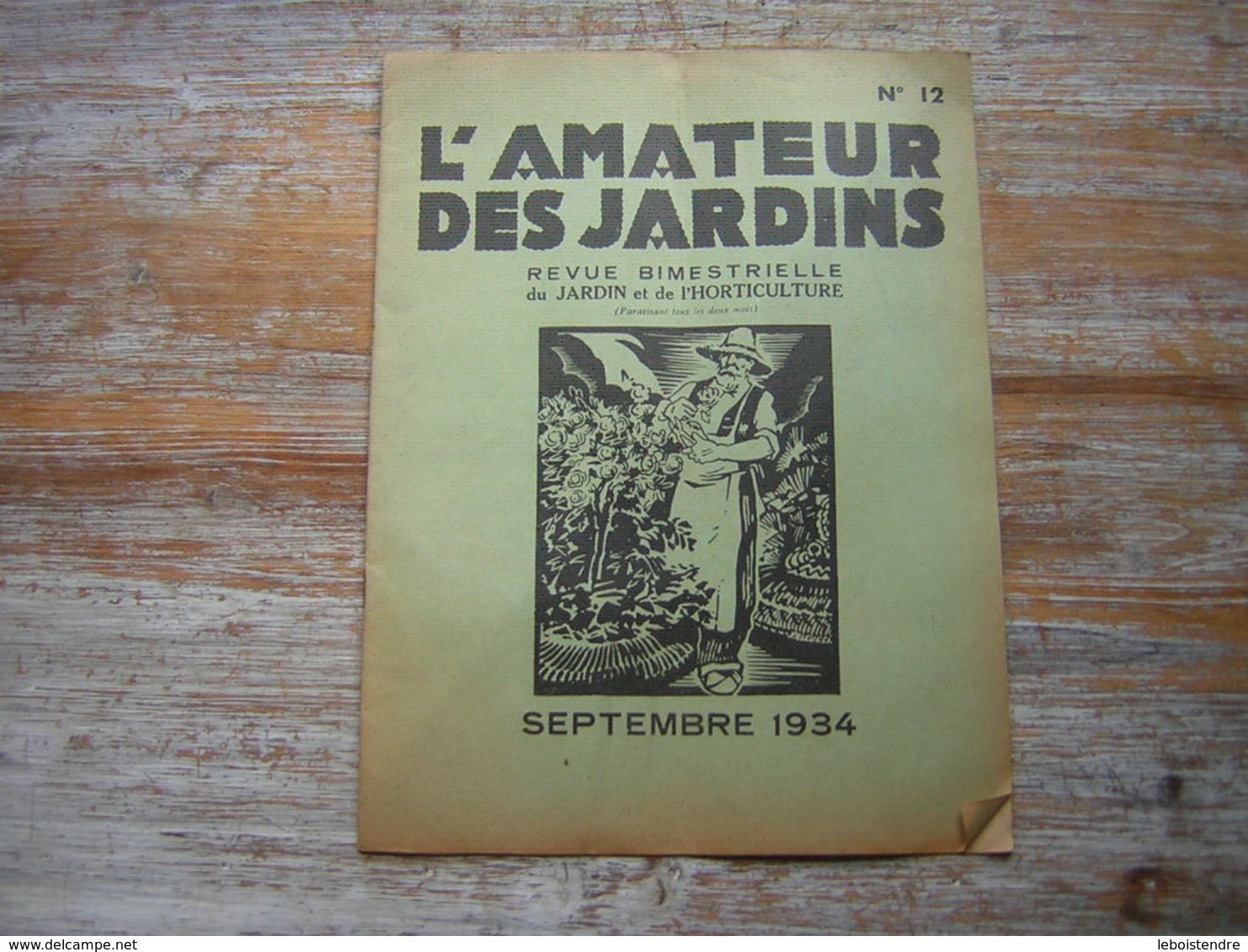 REVUE BIMESTRIELLE DU JARDIN ET DE L'HORTICULTURE  L'AMATEUR DES JARDINS SEPTEMBRE 1934 N° 12 - Jardinería