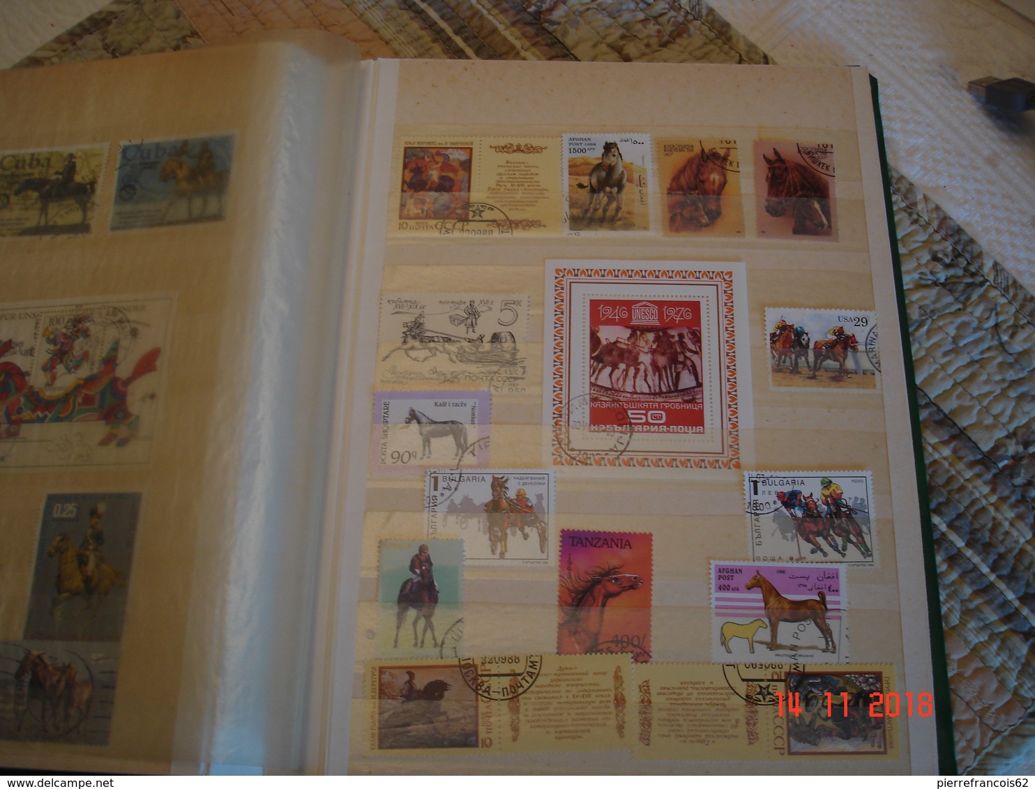 ALBUM CONTENANT COLLECTION DE TIMBRES ET BLOCS FEUILLETS SUR LES CHEVAUX DU MONDE