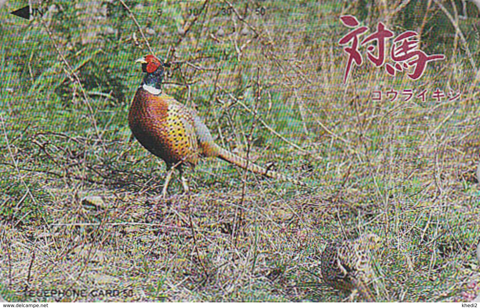 Télécarte Japon / 390-9848 - ANIMAL - Oiseau FAISAN - PHEASANT Bird Japan Phonecard - FASAN Vogel - 3428 - Galline & Gallinaceo