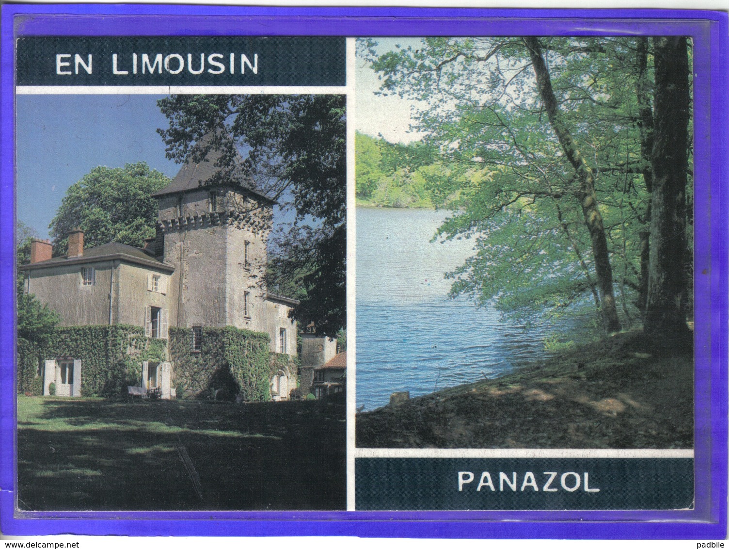 Carte Postale 87. Panazol  Le Chateau Et L'étang Très Beau Plan - Panazol