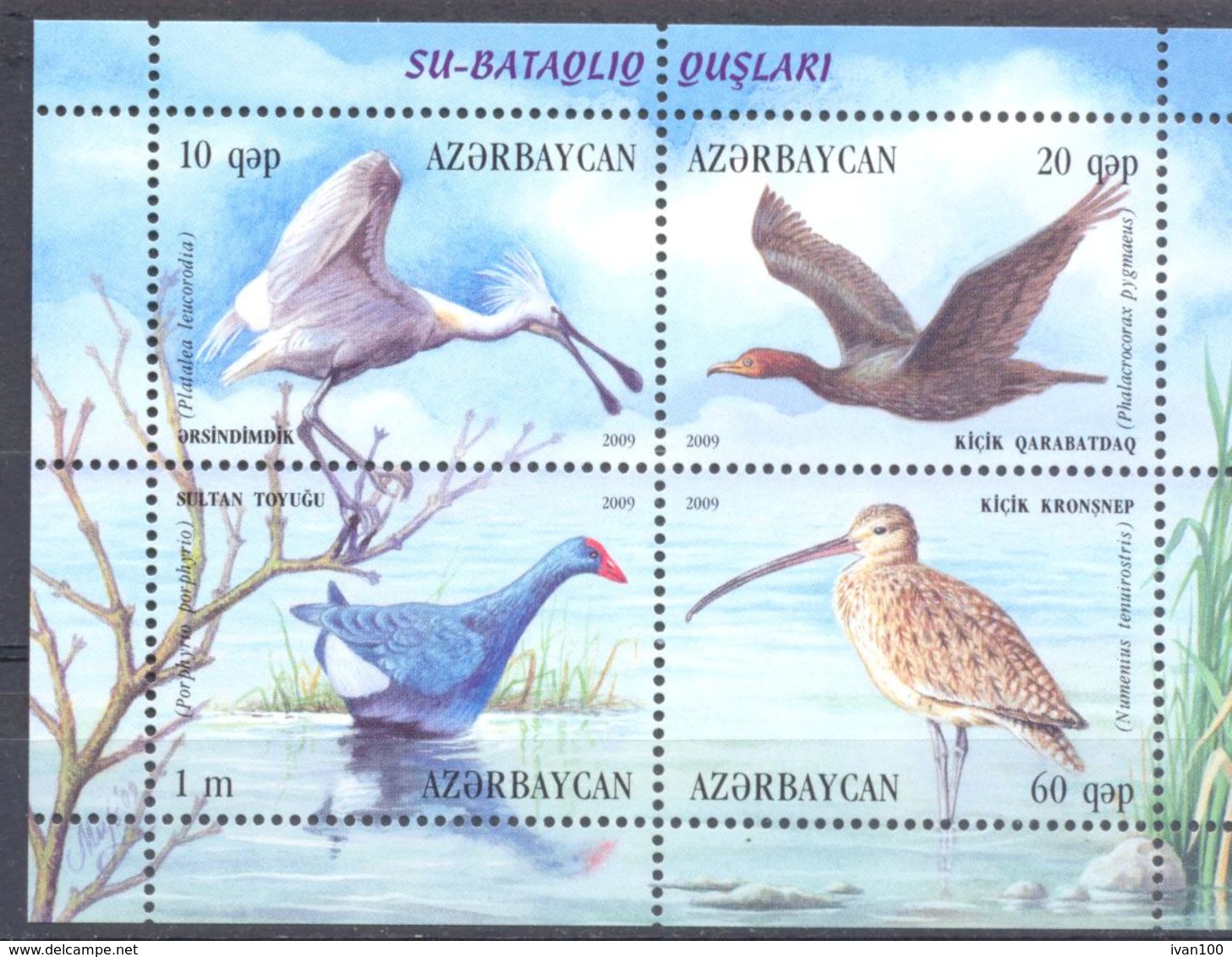 2009  Azerbaijan, Birds, Marsh Waterfowls, S/s, Mint/** - Aserbaidschan