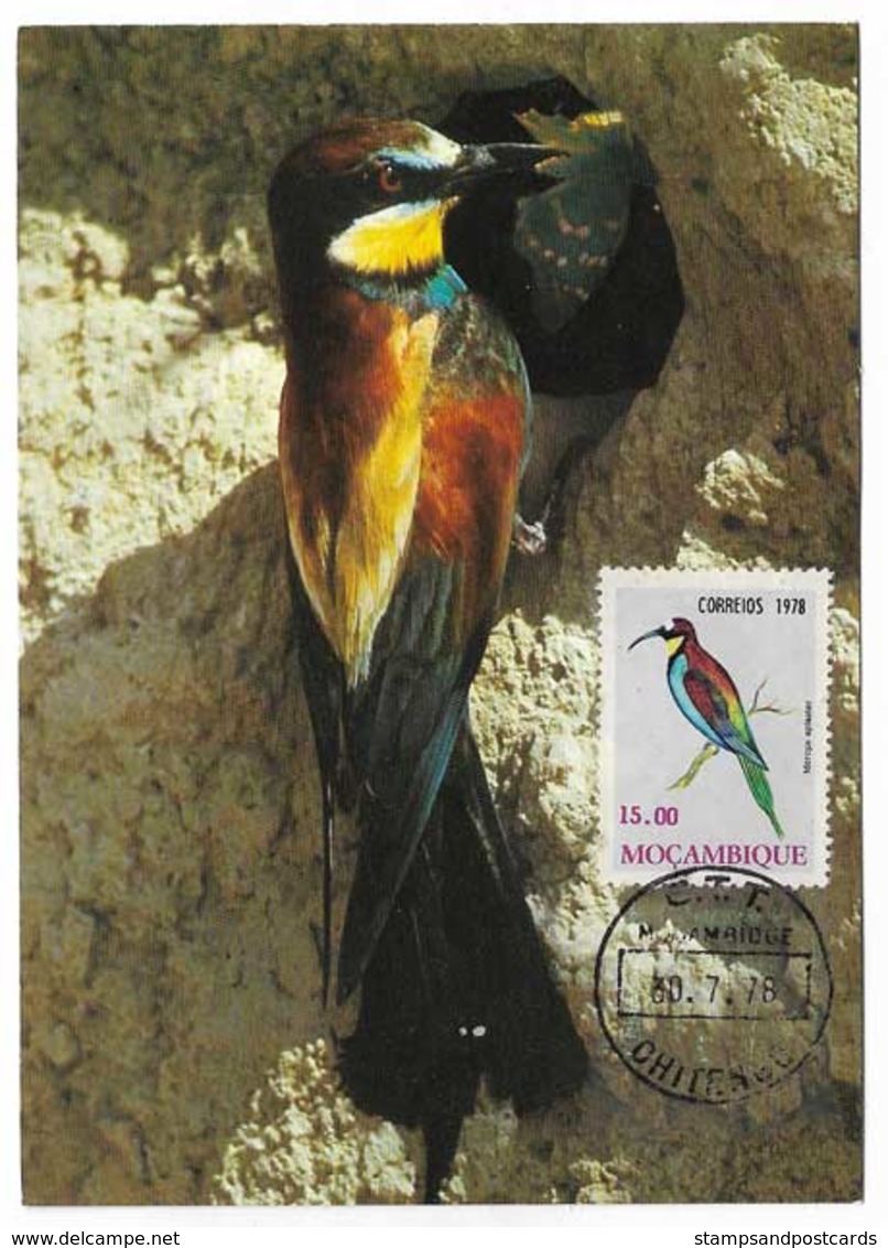 Mozambique Carte Maximum Guêpier D'Europe Merops Apiaster Oiseau 1978 European Bee-eater Bird Maxicard - Other & Unclassified