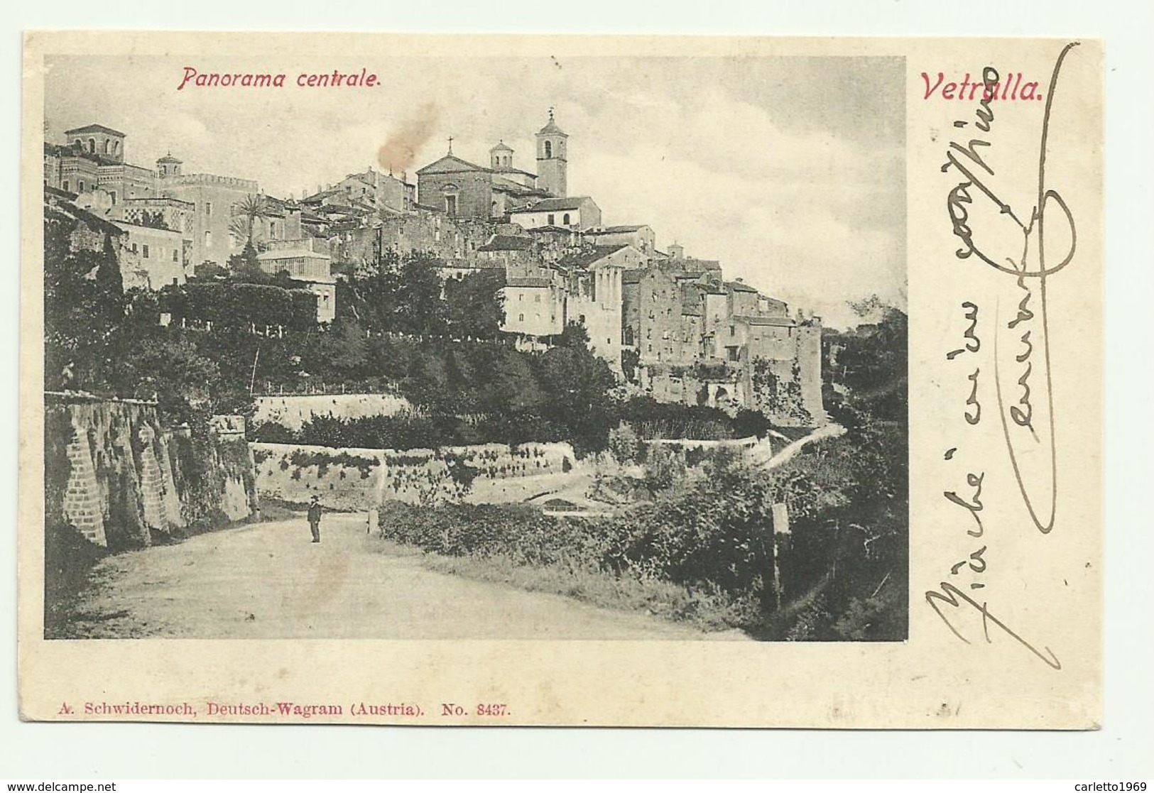 VETRALLA - PANORAMA CENTRALE 1903 VIAGGIATA FP - Viterbo