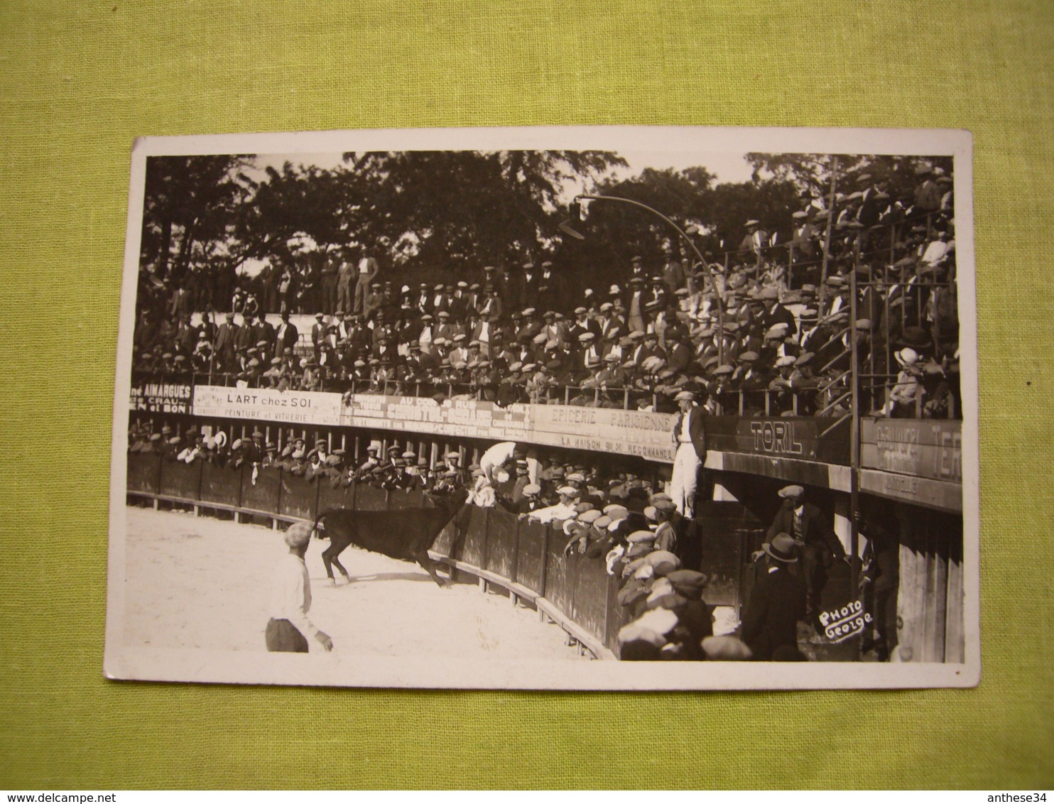 Carte Photo George Course Camarguaise Lunel 1932 Valette à L'Orphelin De Granon Combet - Arles