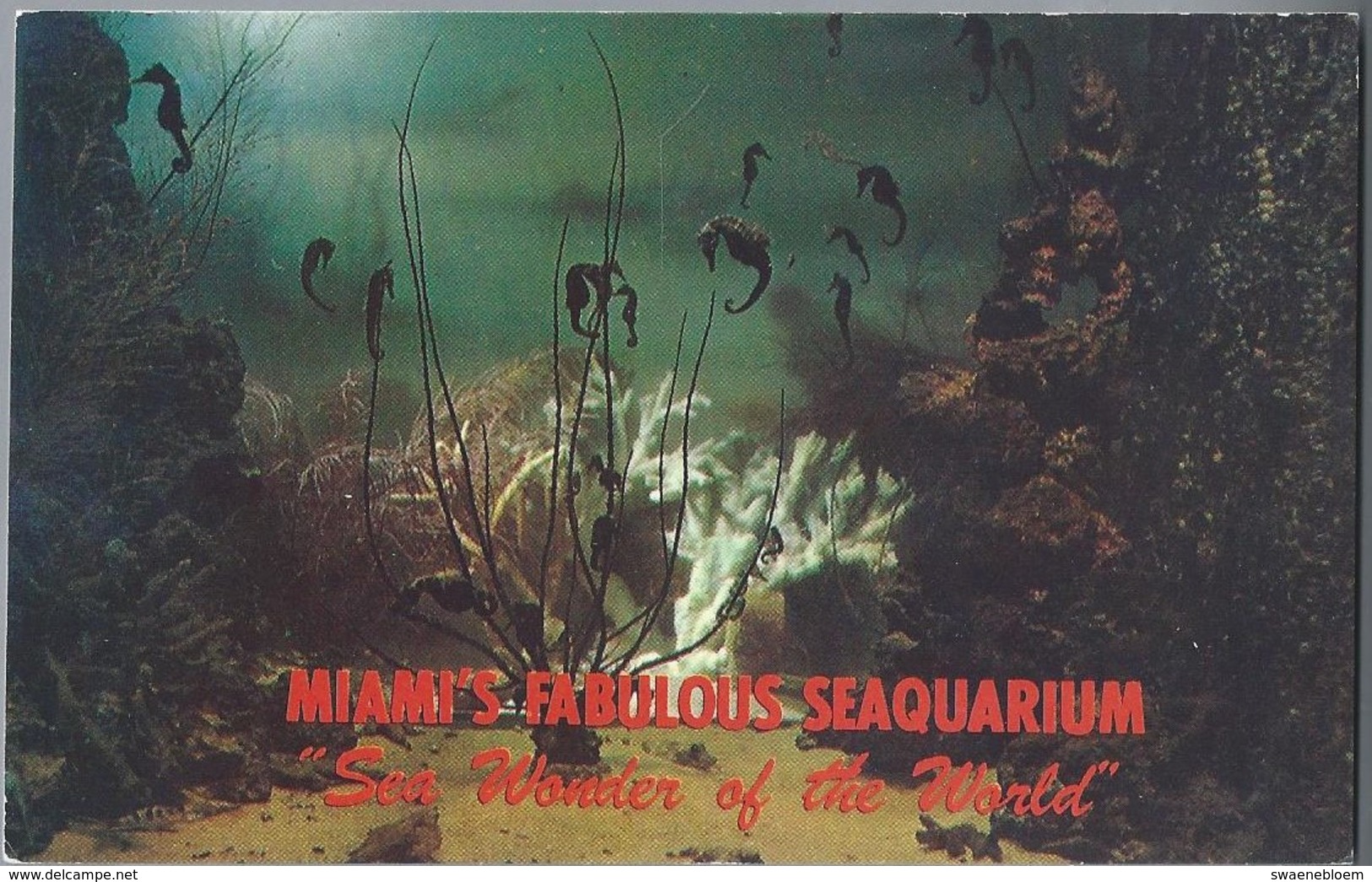 US.- MIAMI, FLORIDA. Miami's Fabulous Seaquarium. Sea Wonder Of The World. See Horses. Zeepaardje. - Vissen & Schaaldieren