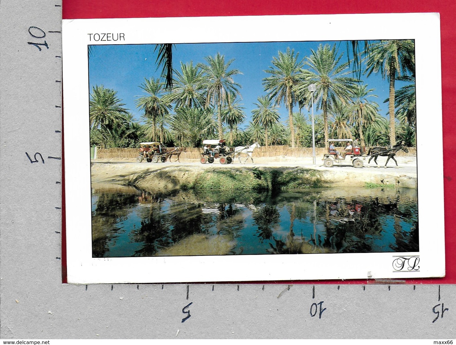 CARTOLINA VG TUNISIA - TOZEUR - La Promenade Dans L'Oasis - 10 X 15 - ANN. 1988 - Tunisia